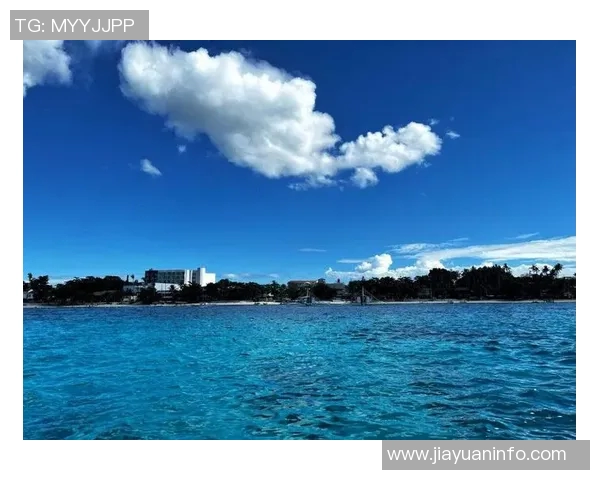 仙台七夕与海洋的奇妙交融探寻传统与自然的美丽结合